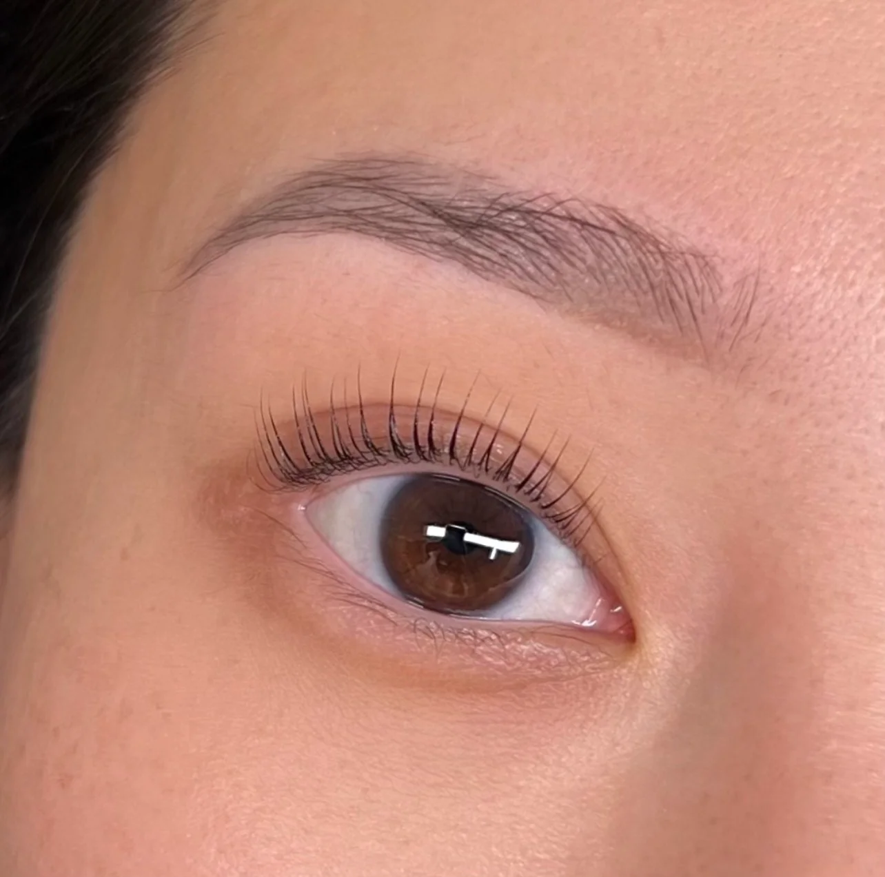 Korean Lash Lift