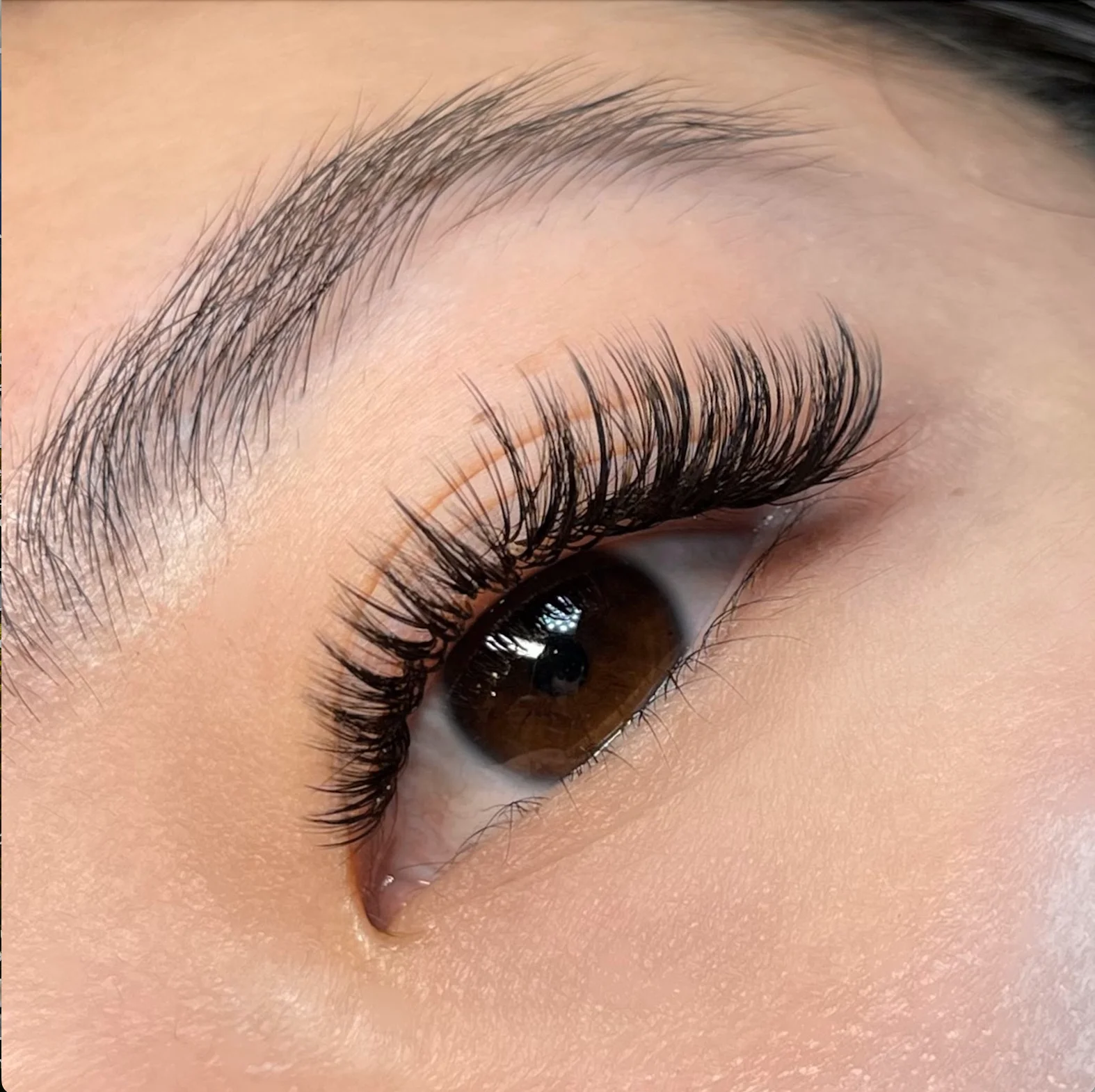 Classic/Wet Lash